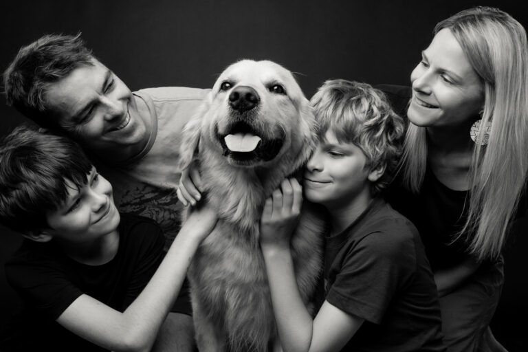 dog photographer cairns