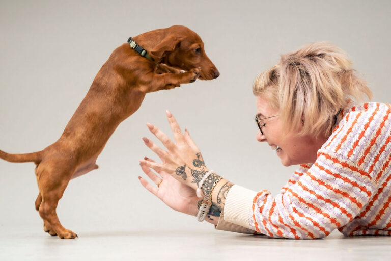 Cairns pet photographer